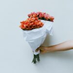 HSS型HSPはどんな人と結婚すればいいの?結婚相手でおすすめな人
