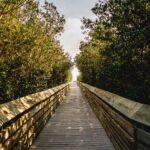 人との縁とスピリチュアル‥人との出会いに意味なんて無い