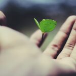 「生きる意味」って何?いらない思い込みを変換して世界を変える方法