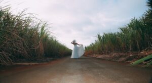 能書きなんていらない！？人生において、道なき道を行く重要性